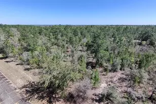 Lot 13 Windmill St, Chipley, FL 32428 - Photo 1