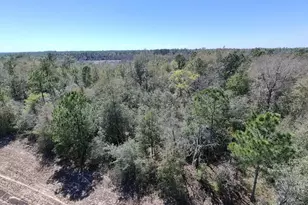 Lot 38 Coronado Dr, Chipley, FL 32428 - Photo 1