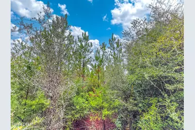 Tract 6418 N Union Hill Road #Bryant bay, Caryville, FL 32427 - Photo 1