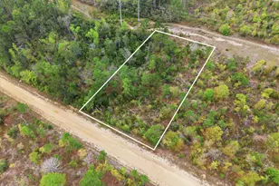 Tbd Channel Dr, Alford, FL 32420 - Photo 1