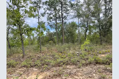 Lot 10 Aquarius Drive, Chipley, FL 32428 - Photo 1