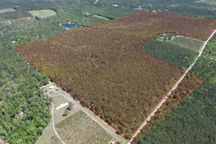 00 Hardaway Hwy, Chattahoochee, FL 32324 - Photo 1