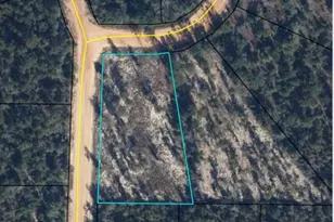 Lot 9 Empire Ave, Alford, FL 32420 - Photo 1