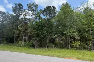 000 Parrish Still Rd, Vernon, FL 32462 - Photo 1