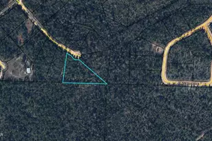 Tbd Mendocino Ct, Alford, FL 32420 - Photo 1