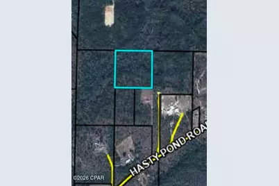 0 Hasty Pond Road, Marianna, FL 32448 - Photo 1