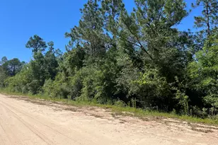 00 Postpile Circle, Alford, FL 32420 - Photo 1