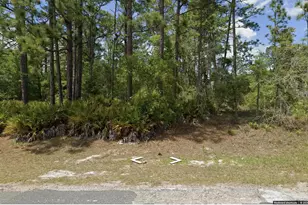 6532 N Foxdale Dr, Citrus Springs, FL 34434 - Photo 1