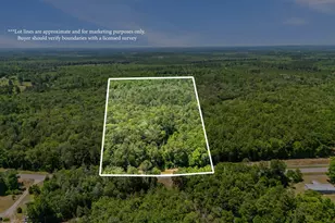 000 Pate Pond Rd, Caryville, FL 32427 - Photo 1