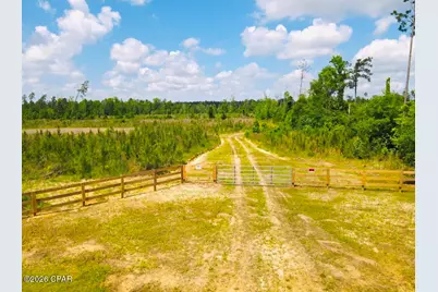 Tbd Sinai Road, Sneads, FL 32460 - Photo 1