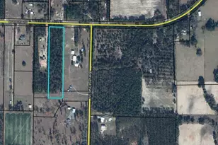 0 Corbin Rd, Chipley, FL 32428 - Photo 1