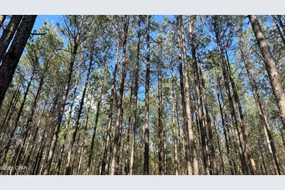 T Grimes Grimes Road, Laurel Hill, FL 32567 - Photo 1