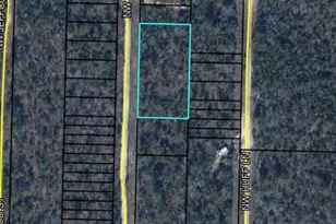 00 NW Center Lake Rd, Altha, FL 32421 - Photo 1