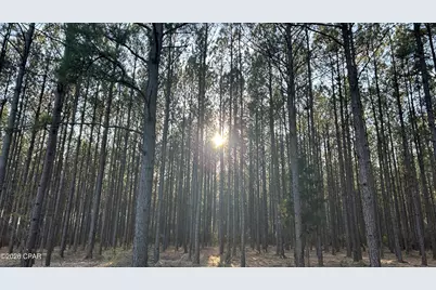 Z Z Grimes Road, Laurel Hill, FL 32567 - Photo 1