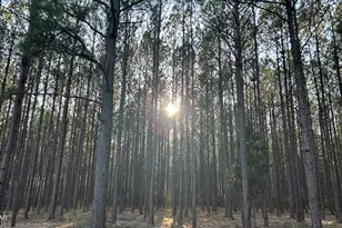 Z Z Grimes Rd, Laurel Hill, FL 32567 - Photo 1