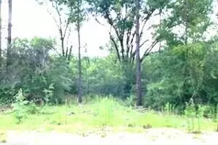 0 Summer St, Marianna, FL 32448 - Photo 1