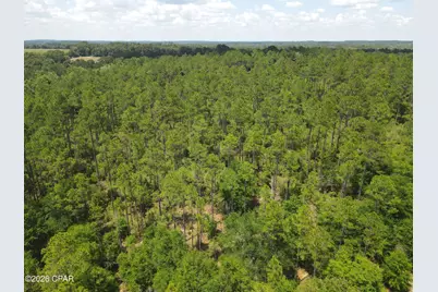 0 St Hwy 83, Defuniak Springs, FL 32433 - Photo 1