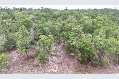 Lot 10 Newcomb Avenue, Chipley, FL 32428 - Photo 1