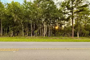 0000 Shell Landing Rd, Vernon, FL 32462 - Photo 1