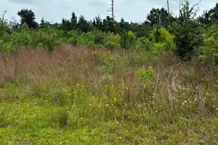 4013 Hwy 389, Panama City, FL 32405 - Photo 1