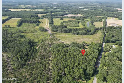 0000 Beall Packing House Road, Bonifay, FL 32425 - Photo 1