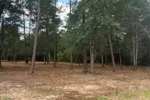 0 Forest Glen Dr, Fountain, FL 32438 - Photo 1