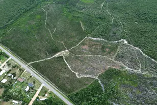 00 Hwy 2301, Youngstown, FL 32466 - Photo 1