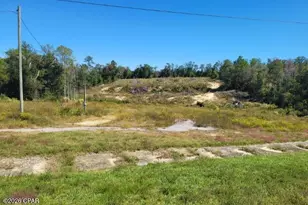 952 Hwy 231, Alford, FL 32420 - Photo 1
