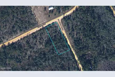 0 Nezperce Drive, Alford, FL 32420 - Photo 1
