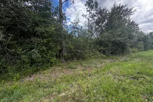 000 NW Lake McKenzie Blvd, Altha, FL 32421 - Photo 1