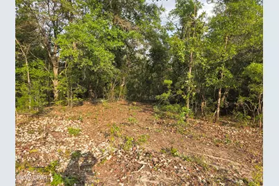 Lot 7 Pine Log Road, Chipley, FL 32428 - Photo 1