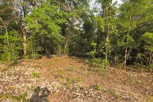 Lot 7 Pine Log Rd, Chipley, FL 32428 - Photo 1