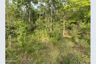 Lot 30 Putnam Avenue, Alford, FL 32420 - Photo 1