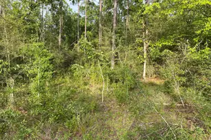 Lot 30 Putnam Ave, Alford, FL 32420 - Photo 1