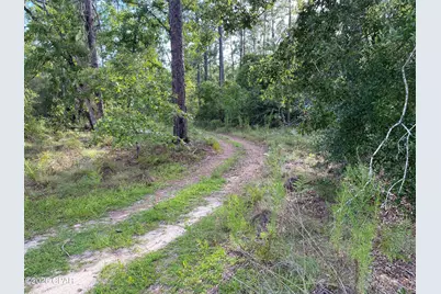Lot 31 Putnam Avenue, Alford, FL 32420 - Photo 1