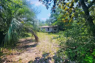 7157 NW Porter Grade Rd, Altha, FL 32421 - Photo 1