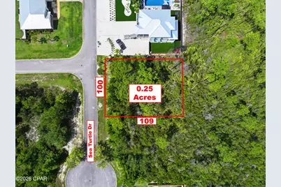 106 Sea Turtle Drive, Port Saint Joe, FL 32456 - Photo 1