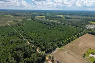 Xxx New Prospect Rd, Chipley, FL 32428 - Photo 1