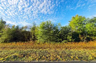 Tbd SW Sr 73, Kinard, FL 32449 - Photo 1