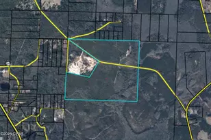 1711 St Marys Rd, Caryville, FL 32427 - Photo 1