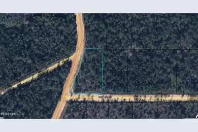 Tbd Odum Street, Alford, FL 32420 - Photo 1
