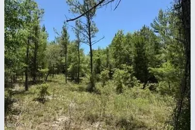 Xxx Orange Hill Road, Chipley, FL 32428 - Photo 1