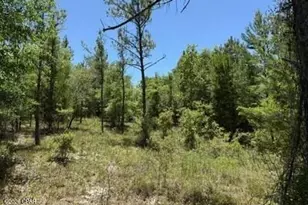 Xxx Orange Hill Rd, Chipley, FL 32428 - Photo 1
