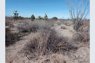 241-14-012 Tom Mix Road, Yucca, AZ 86438 - Photo 5