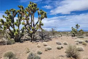 28305 N Drifting Sands Dr, Meadview, AZ 86444 - Photo 1