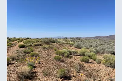 308-19-103 Lots Aksum Drive, Chloride, AZ 86431 - Photo 7