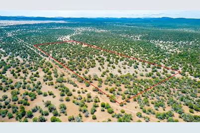 314-55-011 High Mountain Road, Peach Springs, AZ 86434 - Photo 13