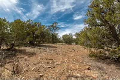 314-55-011 High Mountain Road, Peach Springs, AZ 86434 - Photo 3