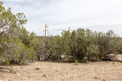 314-55-011 High Mountain Road, Peach Springs, AZ 86434 - Photo 1