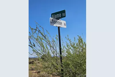 121-10-018 Alamo Road, Yucca, AZ 86438 - Photo 5